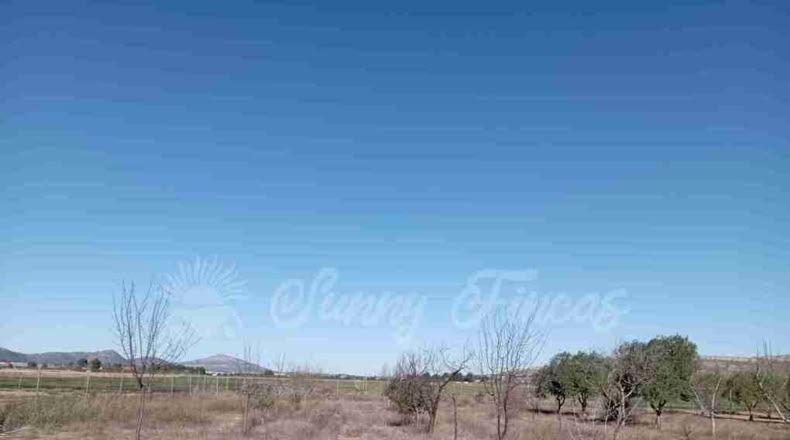 Murcia - Yecla - 12000m2