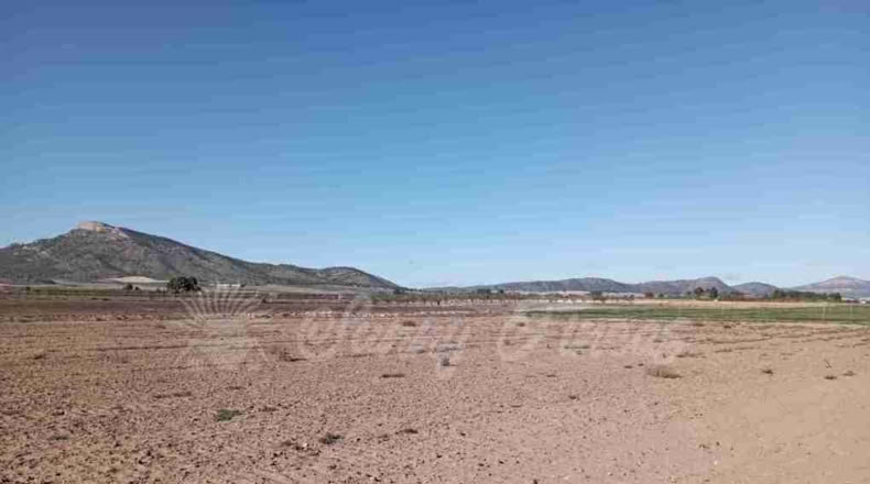 Murcia - Yecla - 12000m2