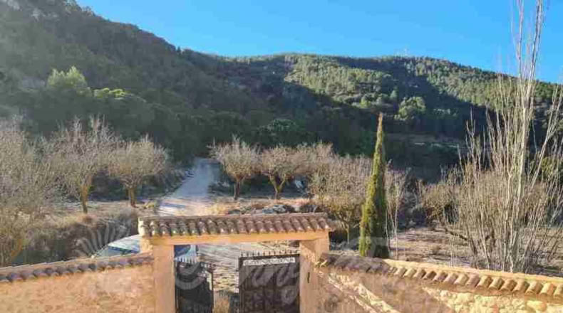 Alicante - Biar - 60000m2
