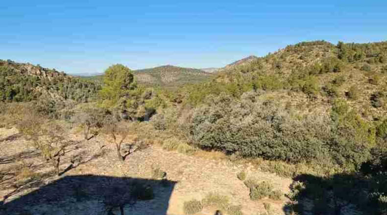Alicante - Biar - 60000m2