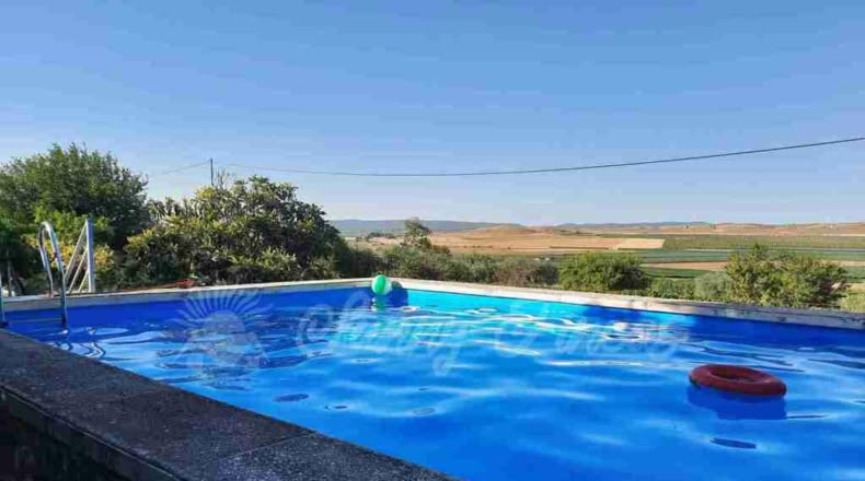 Murcia - Yecla - 1400m2