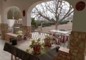 Masia with land for sale in Yecla ref: TR200942 photo