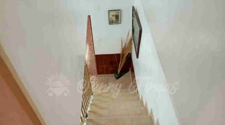 Murcia - Yecla - 1400m2