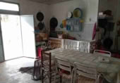 Masia with land for sale in Yecla ref: TR200942 photo