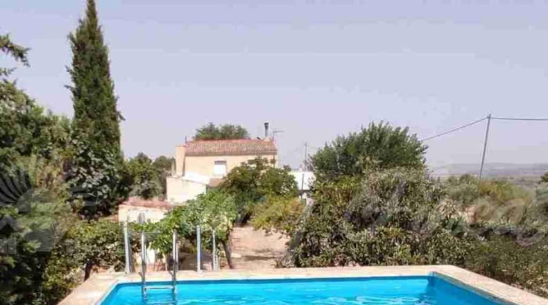 Murcia - Yecla - 1400m2