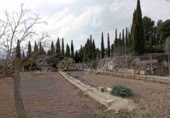 Masia with land for sale in Yecla ref: TR200942 photo