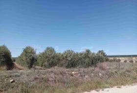 Cabdet 3000&nbsp;m² 
