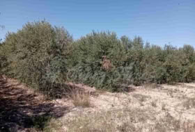 Cabdet 3000&nbsp;m² 