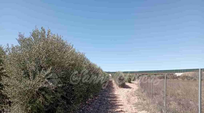 Albacete - Caudete - 3000m2