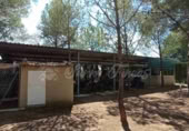 Chalet independiente con terreno en venta en Yecla ref: TR108603 foto