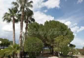 Chalet independiente con terreno en venta en Yecla ref: TR108603 foto