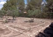 Chalet independiente con terreno en venta en Yecla ref: TR108603 foto