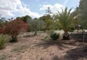 Chalet independiente con terreno en venta en Yecla ref: TR108603 foto