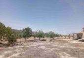 Masia amb terreny en venda a Monòver ref.: TR225116 foto