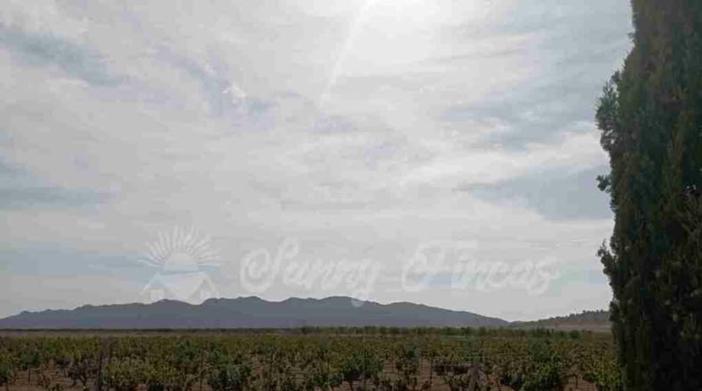 Múrcia - Yecla - 400000m2