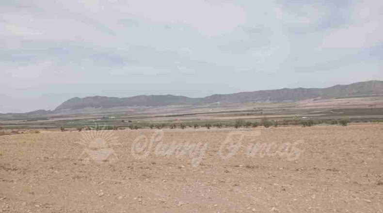 Múrcia - Yecla - 400000m2
