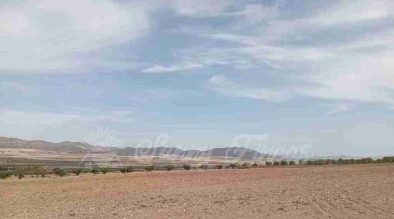 Múrcia - Yecla - 400000m2