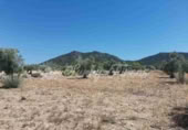Land suitable for development for sale in Biar ref: TR110539 photo