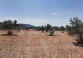 Land suitable for development for sale in Biar ref: TR110539 photo