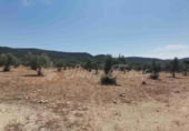 Land suitable for development for sale in Biar ref: TR110539 photo