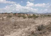 Land suitable for development for sale in Monóvar ref: TR225115 photo
