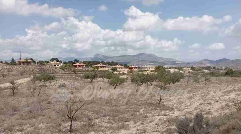 Alicante - Monóvar - 12400m2