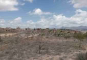 Land suitable for development for sale in Monóvar ref: TR225115 photo