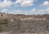 Land suitable for development for sale in Monóvar ref: TR225115 photo
