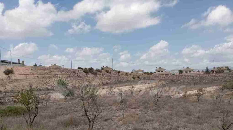 Alicante - Monóvar - 12400m2