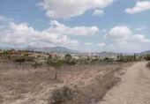 Land suitable for development for sale in Monóvar ref: TR225115 photo