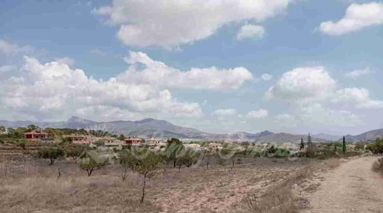 Alicante - Monóvar - 12400m2