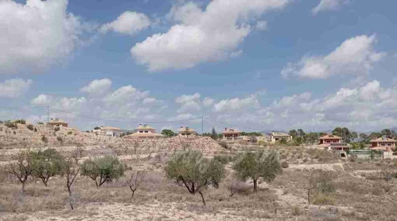 Alicante - Monóvar - 12400m2
