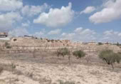 Land suitable for development for sale in Monóvar ref: TR225115 photo