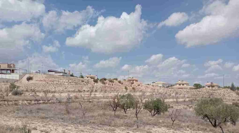 Alicante - Monóvar - 12400m2