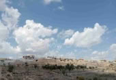 Land suitable for development for sale in Monóvar ref: TR225115 photo