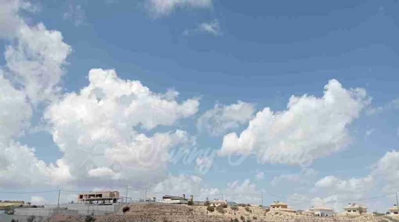 Alicante - Monóvar - 12400m2