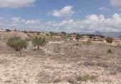 Land suitable for development for sale in Monóvar ref: TR225115 photo
