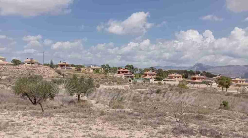 Alicante - Monóvar - 12400m2