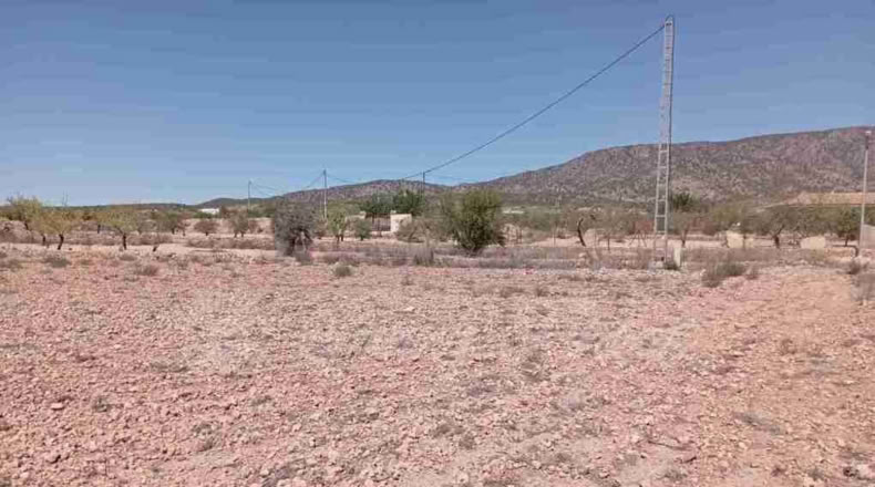 Alicante - Paredón - 10000m2