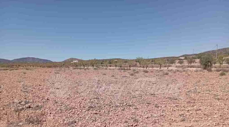 Alicante - Paredón - 10000m2