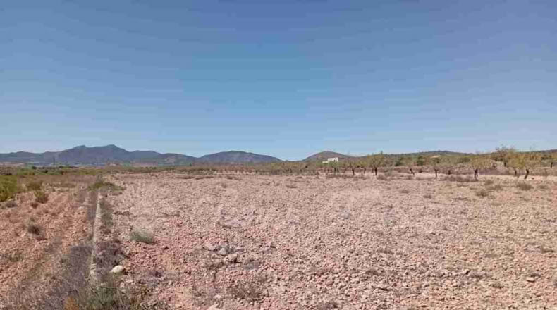 Alicante - Paredón - 10000m2