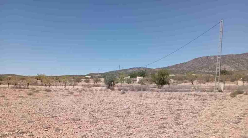 Alicante - Paredón - 10000m2