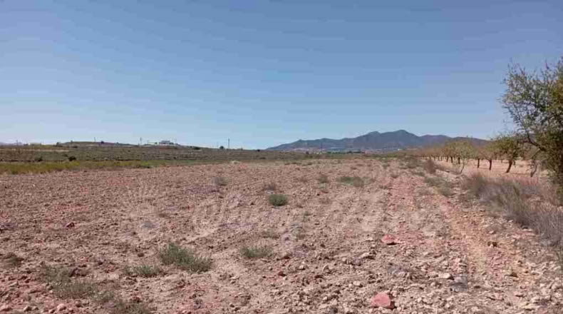 Alicante - Paredón - 10000m2