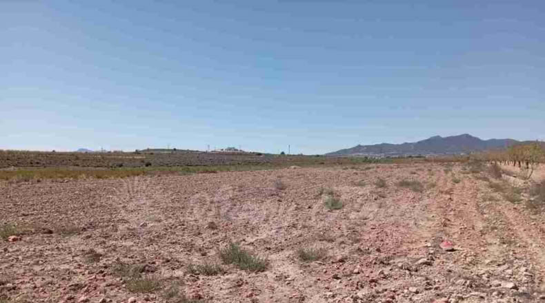 Alicante - Paredón - 10000m2