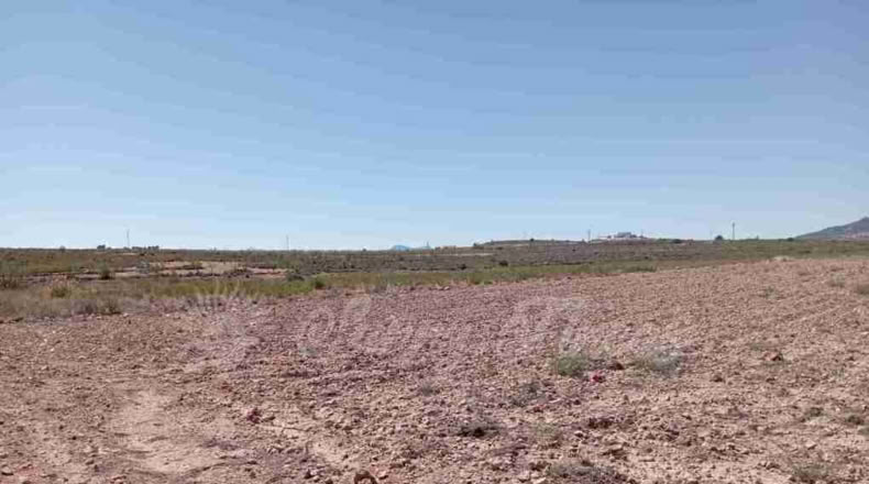 Alicante - Paredón - 10000m2