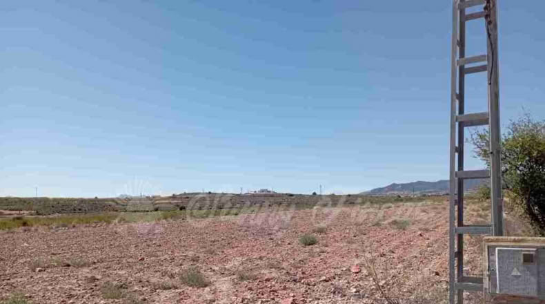 Alicante - Paredón - 10000m2