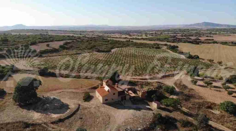 Albacete - Almansa - 1000000m2