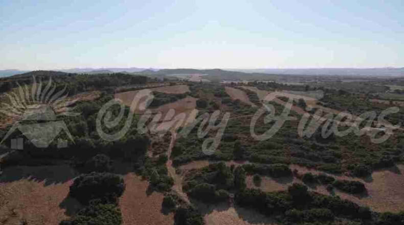 Albacete - Almansa - 1000000m2