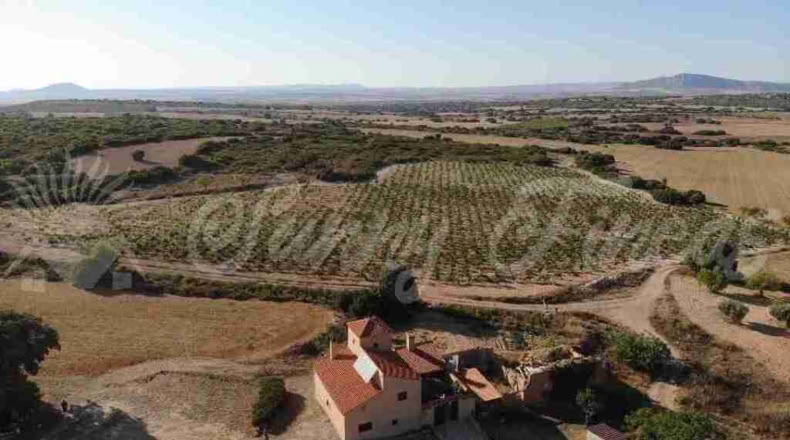 Albacete - Almansa - 1000000m2