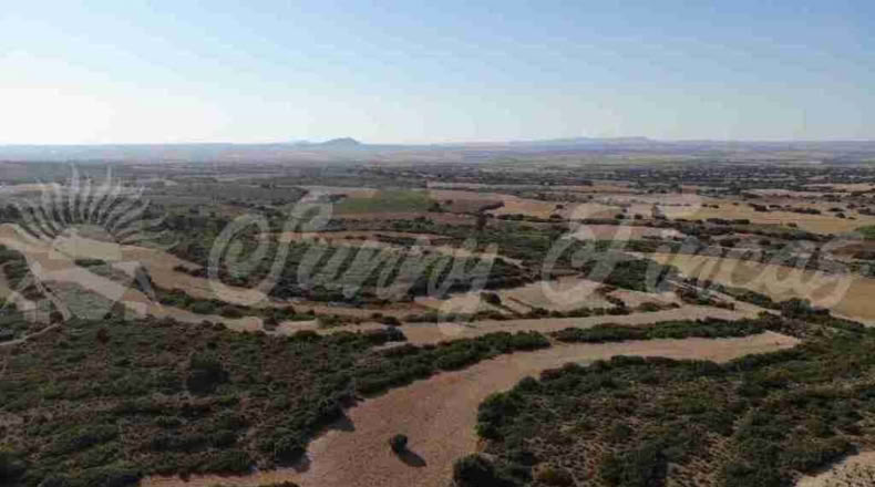 Albacete - Almansa - 1000000m2